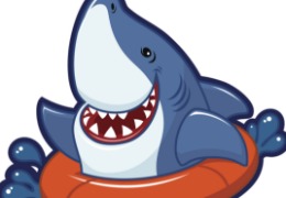 食品原料小百科：硫酸軟骨素可以用在什么地方？